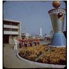 Image 2 : Collection of (11) professional 3-d stereo slides from diseyland circa 1955