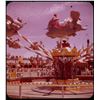 Image 6 : Collection of (14) amateur 3-d stereo slides at Disneyland circa 1957