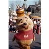 Image 6 : Disneyland “Winnie The Pooh” bee costume accessory