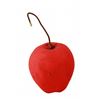 Snow Whites adventures prop wicked hag apple.