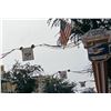 Image 5 : Original Submarine Voyage  attraction lamppost shield.