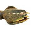 Image 5 : Submarine Voyage Viper fish prop.