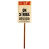 Image 2 : Disneyland on Strike Picket sign.