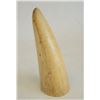 Image 1 : Scrimshaw bone