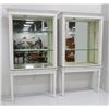 Image 1 : Pair of Adams style vitrines on stands