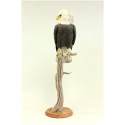 Richard Koeditz, "Bald Eagle"