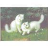Image 1 : Two Cats