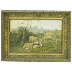 Frank Selzer, "Lambs"