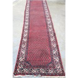 Persian red runner