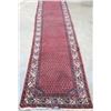 Image 1 : Persian red runner