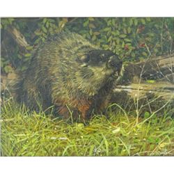Louis J. De Donato, "Imaginative Woodchuck"