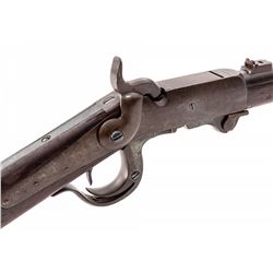 Standard Model Burnside Carbine