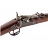 Image 1 : U.S. Model 1877 Trapdoor Carbine