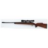 Image 7 : FN Mauser Sporter Bolt Action Rifle