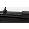 Image 9 : Ruger American Rimfire Bolt Action Rifle