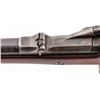 Image 6 : Springfield Model 1884 Trapdoor Rifle
