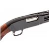 Image 1 : Customized Winchester Model 12 Shotgun