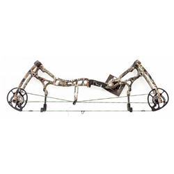 Bear Motive 6 Compound Bow