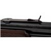 Image 8 : Taurus Model C45 Pump Action Rifle