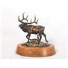 Image 31 : Daniel Parker, 10 bronzes