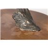 Image 8 : Bob Winship, bronze