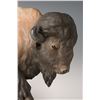 Image 2 : Todd Swaim, woodcarving
