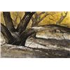 Image 2 : Morris Rippel, watercolor