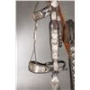 Image 3 : Edward H. Bohlin Silver Mounted Saddle with Accessories