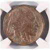 Image 2 : 1919-D BUFFALO NICKEL NGC XF INSIGNIFICANT CLEANING