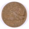 Image 1 : 1858 LL FLYING EAGLE CENT FINE