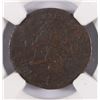 Image 2 : 1793 HALF CENT, NGC-XF DETAILS, CORRODED BUT  STILL A HIGH GRADE  RARE TYPE COIN