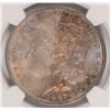 Image 2 : 1887 MORGAN DOLLAR NGC MS-64 RAINBOW COLOR OBVERSE, WHITE REVERSE