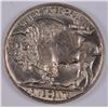 Image 2 : 1919 BUFFALO NICKEL MS-64