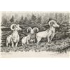 Image 1 : Pen & Ink Drawing by T. Slonaker.