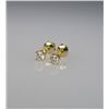 Image 1 : 14 Karat Yellow Gold Ladies Diamond Stud Earrings