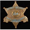 Image 1 : Maricopa County Badge.