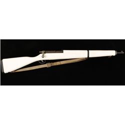 US Navy Training Rifle