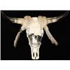 Image 1 : Decorative Steer Skull