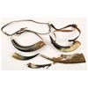 Image 1 : Collection of 5 Powder Horns