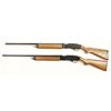 Image 2 : Lot of 2 Air Shotguns
