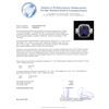 Image 7 : 14KT White Gold GIA Certified 11.73ct Tanzanite and Diamond Ring