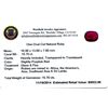 Image 2 : 15.70ct. One Oval Cut Natural Ruby