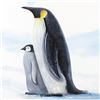 Image 2 : Antarctic Penguins By Wyland