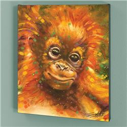 Baby Orangutan By Stephen Fishwick