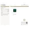 Image 7 : 18KT White Gold 15.54ct GIA Certified Tourmaline and Diamond Necklace