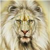 Image 2 : White Lion By Martin Katon