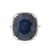 Image 3 : 18KT White Gold 17.38ct Sapphire and Diamond Ring