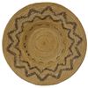 Image 1 : Paiute Basket