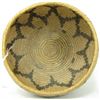 Image 8 : Paiute Basket