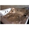 Image 2 : BIRCH BAY DESERT HORIZON INTERIOR, BROWN CABINET, 7 PERSON HOT TUB, 24 JETS